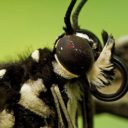 Novou sezónu Botanické zahrady Praha zahájila výstava orchidejí