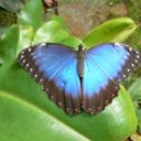 Novou sezónu Botanické zahrady Praha zahájila výstava orchidejí