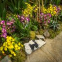 Novou sezónu Botanické zahrady Praha zahájila výstava orchidejí
