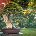 Novou sezónu Botanické zahrady Praha zahájila výstava orchidejí