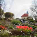 Novou sezónu Botanické zahrady Praha zahájila výstava orchidejí