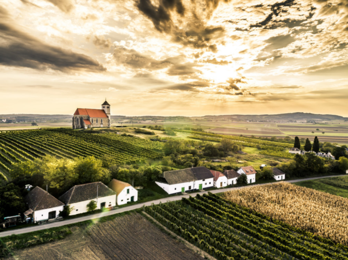 Kellergasse Wartberg. Foto: ©Weinviertel Tourismus / Robert Herbst