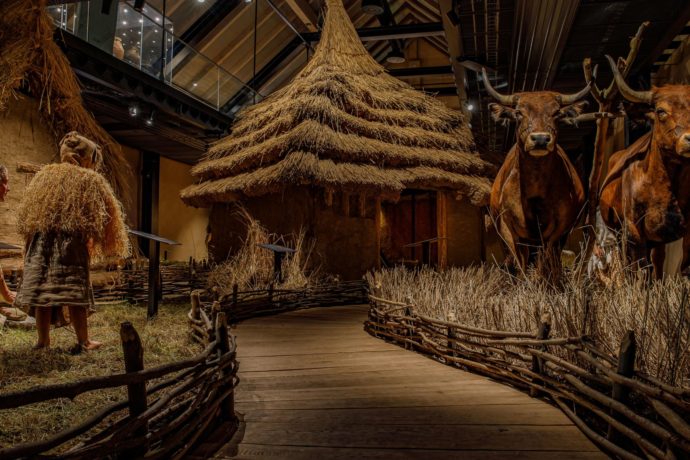 Slavnostní otevření archeologické expozice Archevita – Stopami věků
