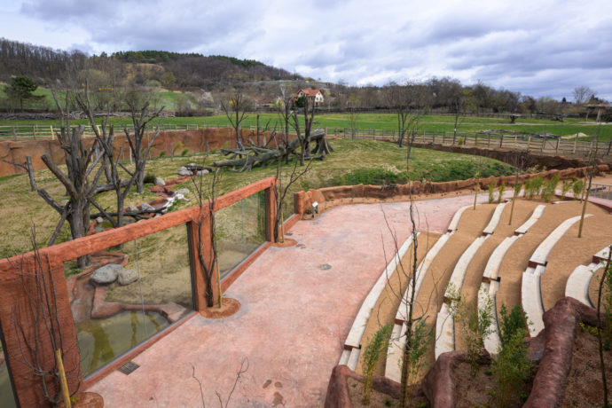  Venku je pro návštěvníky vybudováno hlediště, ze kterého budou moci pozorovat rodinnou skupinu goril nížinných. Foto: @Petr Hamerník, Zoo Praha 