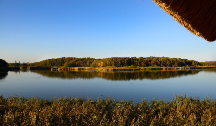 Bohdanečský rybník. Foto: ©Pardubicko