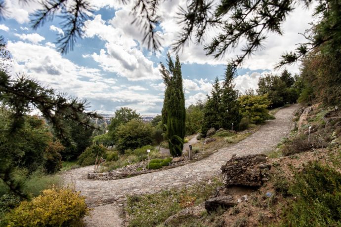 Objevte krásy Kypru v botanické zahradě v Troji