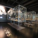 Krajské kulturně vzdělávací centrum 14|15 BAŤŮV INSTITUT