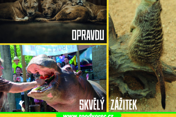 Zážitkové programy a kulturní akce v Zoologické zahradě Dvorec