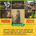 Zážitkové programy a kulturní akce v Zoologické zahradě Dvorec