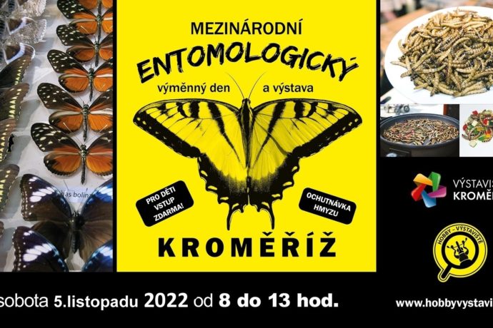 Prodejní výstava brouků a motýlů na Výstavišti Kroměříž