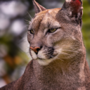 Zoologická zahrada Na Hrádečku