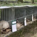 Výstava ČLOVĚK V PŘÍRODĚ a Řemesla a kreativita