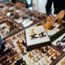 Prodejní výstava brouků a motýlů na Výstavišti Kroměříž