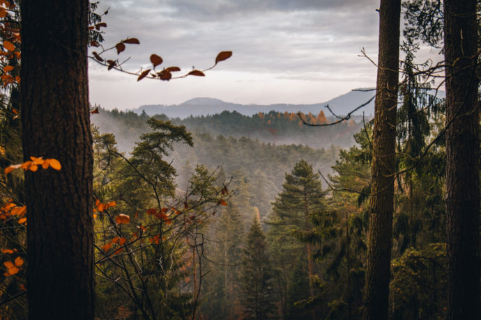 Kokořínsko. Foto: ©Filip Jakubský