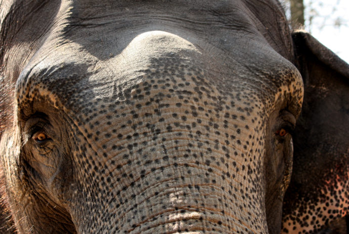 Foto: ©Zoo Liberec