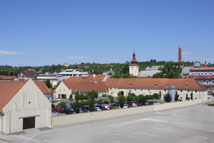 Dobrovická muzea
