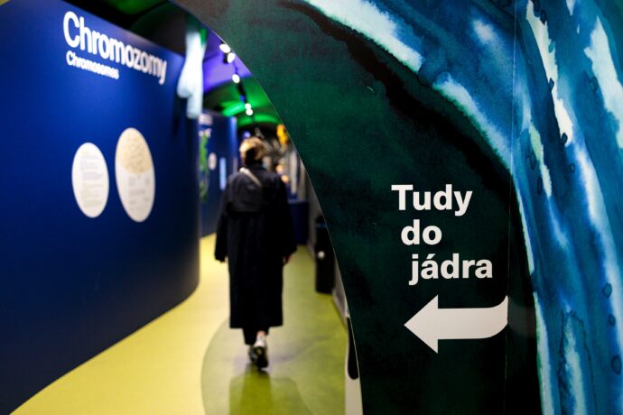 Mendelovo muzeum Masarykovy univerzity. Poznejte místo, kde se před 200 lety zrodila genetika!