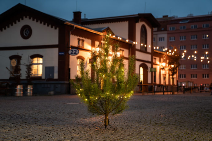 Fotokredit: ©Tereza Valníčková
