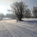 Pozvánka do běžeckých stop v okolí Stožce, Nové Pece a Horní Plané