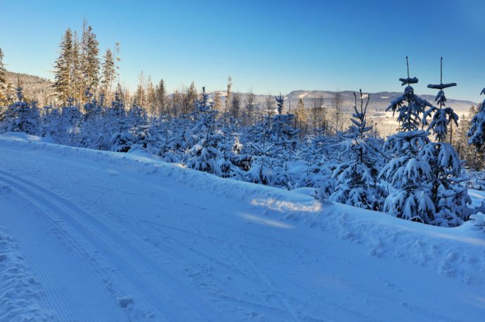  Schwarzenberský plavební kanál a Želnavské hory. Foto: ©Vladislav Hošek