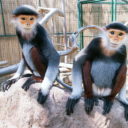 Navštivte Zoo Chleby i v zimě