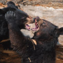 Navštivte Zoo Chleby i v zimě