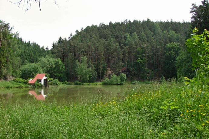 Dolský rybník u Mladějova