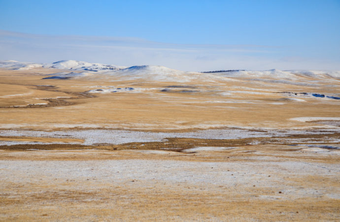 Údolí klášterů s klikatící se Hákovitou řekou (řeka Degé). Koně Převalského by tuto oblast na východě Mongolska mohli obydlet již v roce 2026. Foto Miroslav Bobek, Zoo Praha