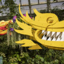Výstava asijských orchidejí v Botanické zahradě Praha