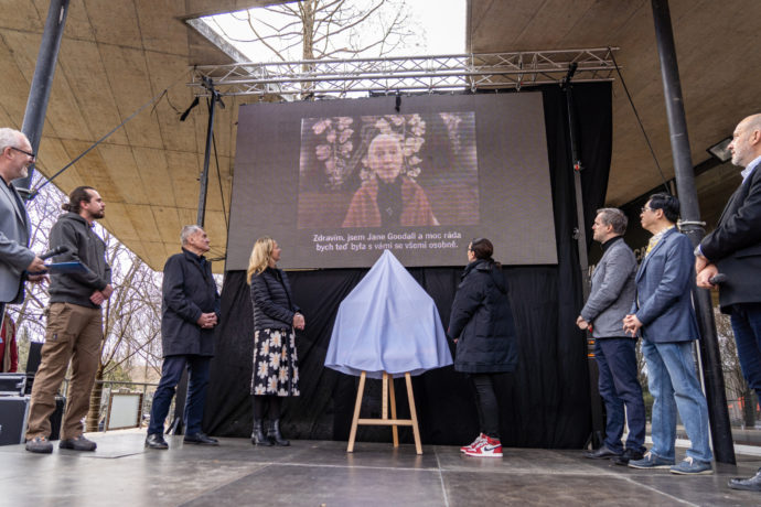 Dojemnou videozdravici malé luskouní samičce poslala světoznámá ochránkyně přírody a primatoložka Jane Godall. Zleva moderátor Jan Kovařík, chovatel luskounů David Vala, primátor hl. m. Prahy Bohuslav Svoboda, jeho náměstkyně pro životní prostředí a klimatický plán Jana Komrsková, náměstkyně primátora pro oblast sociálních věcí, bydlení a zdravotnictví Alexandra Udženija, náměstek primátora pro dopravu Zdeněk Hřib, zástupce Tchajpejské hospodářské a kulturní kanceláře Wei-Ming Tseng a ředitel Zoo Praha Miroslav Bobek. Foto Oliver Le Que, Zoo Praha