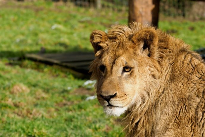 Foto: ©Zoo Dvorec