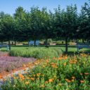 Centrum řemesel a bylinné zahrady Botanicus v Ostré se otevírají!