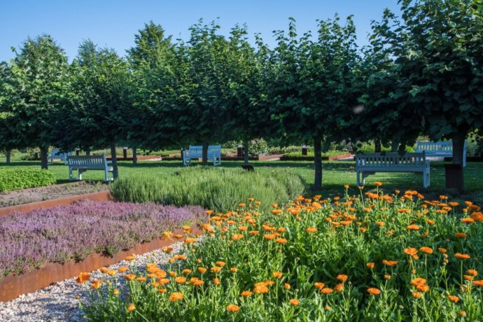 Centrum řemesel a bylinné zahrady Botanicus v Ostré se otevírají!