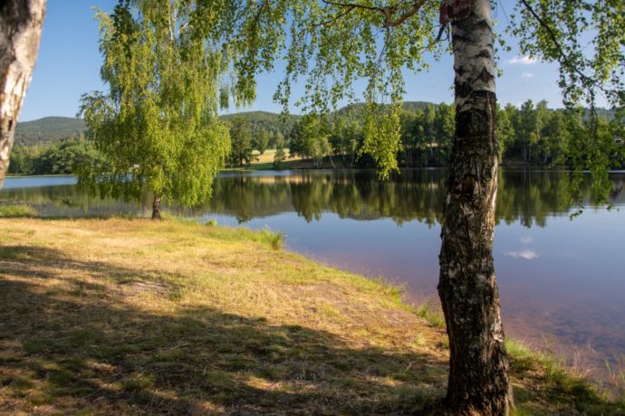 Přírodní koupaliště Lesík