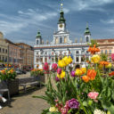 Léto ve městě České Budějovice