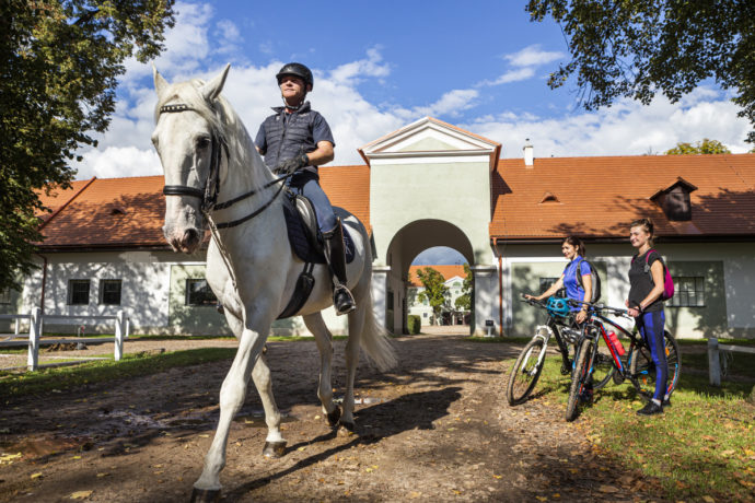 Kladruby. Foto: ©Ondřej Littera