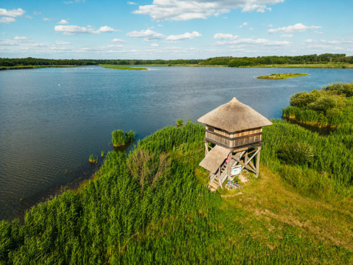 Ptačí rozhledna. Foto: ©Michal Král