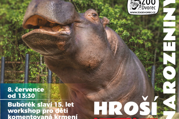 Hroší narozeniny v Zoologické zahradě Dvorec