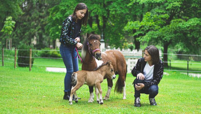 Miniaturpark Boheminium – ideální tip na rodinný výlet