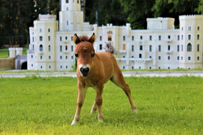 Miniaturpark Boheminium – ideální tip na rodinný výlet. Foto: ©Park Boheminium