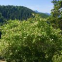 Rajecká dolina – Slovensko