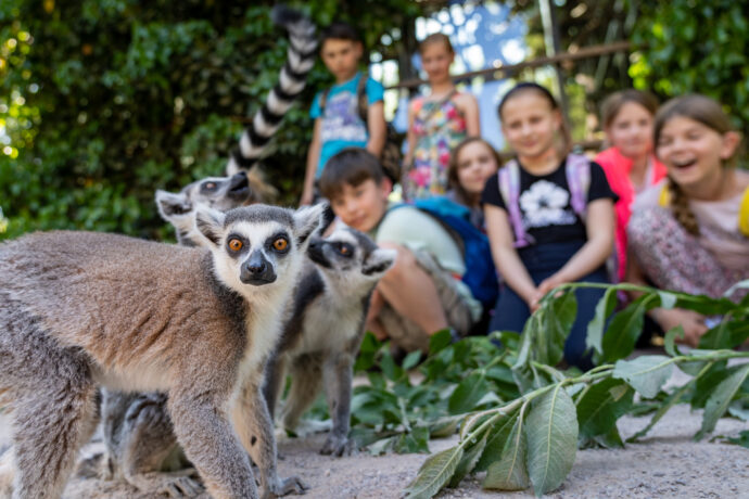 Místo školy do Zoo Praha