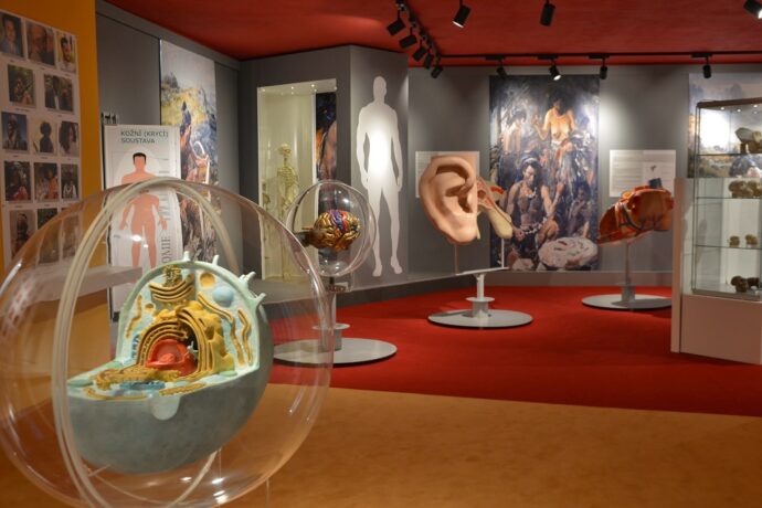 Muzeum dr. Aleše Hrdličky vám představí celou řadu zajímavých expozic