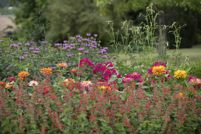Nejlepší fotografie rostlinného světa v Botanické zahradě Praha