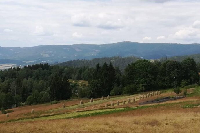 Soláň