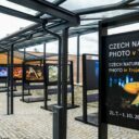 Nejlepší fotografie rostlinného světa v Botanické zahradě Praha