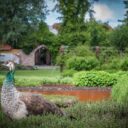Centrum řemesel a bylinné zahrady Botanicus v Ostré a na co se těšit v září