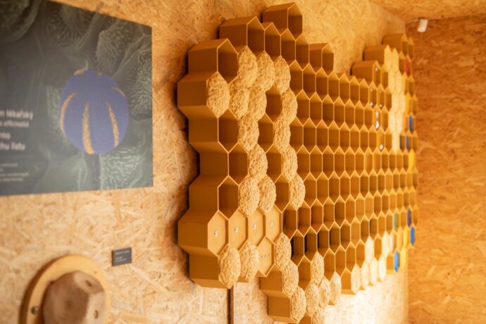 Foto: ©Botanická zahrada Praha