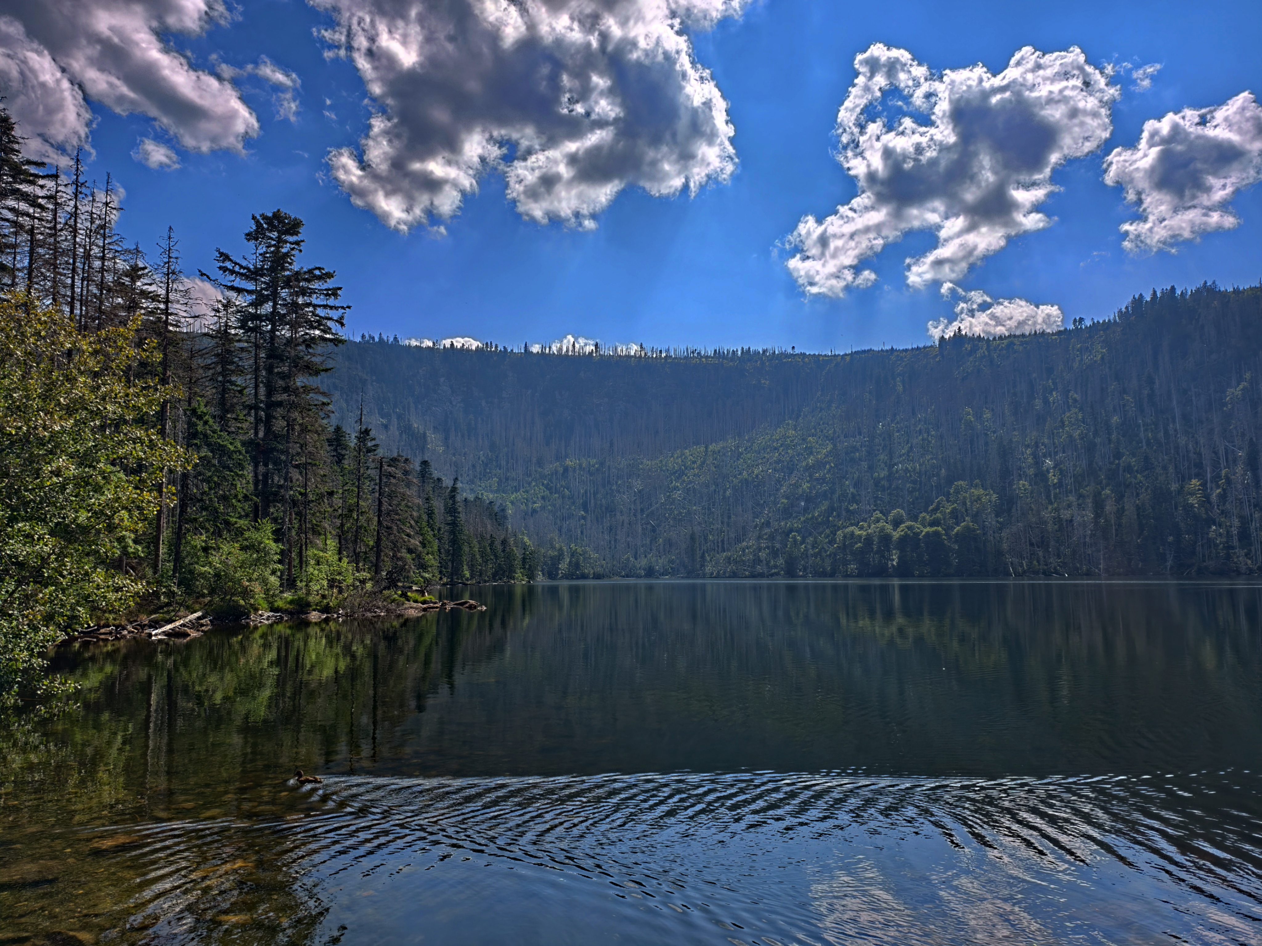 Černé jezero. Foto: ©Jakub Král