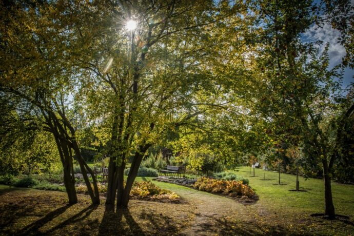 Zahrada jedlých rostlin. Foto: ©Centrum řemesel a bylinné zahrady Botanicus